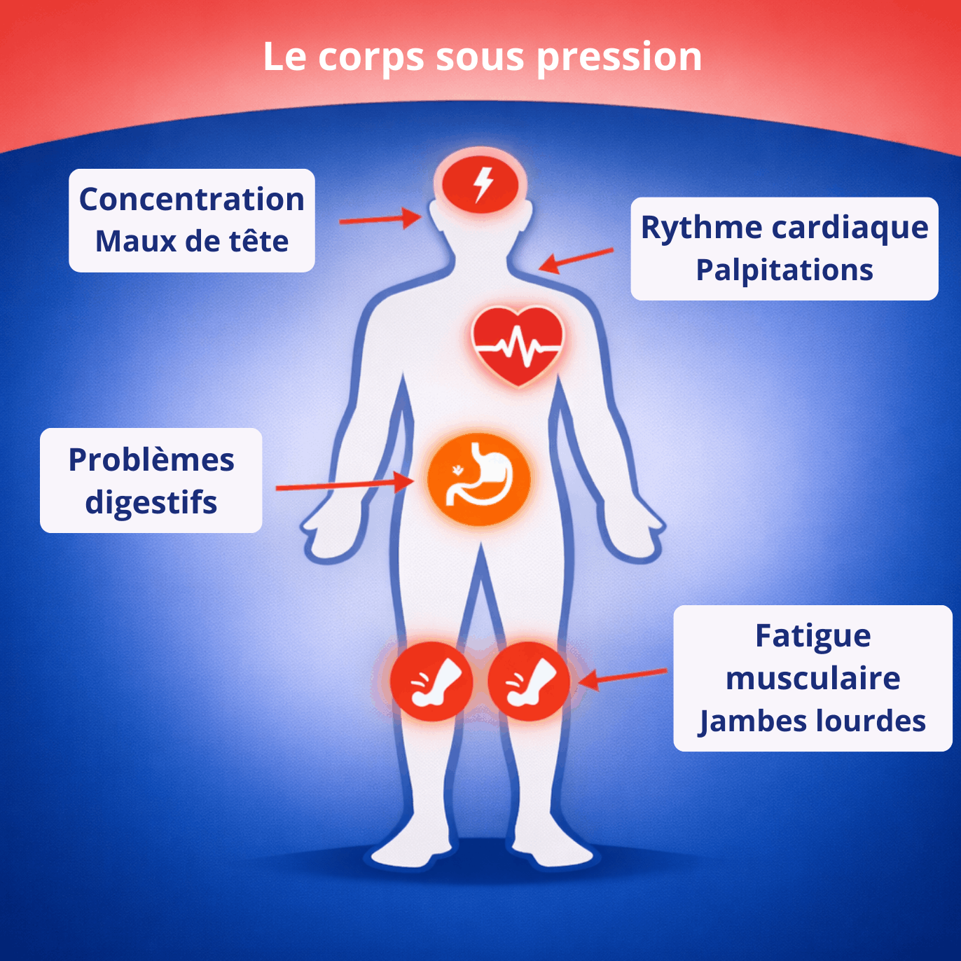 Illustration des principaux symptômes physiques liés au stress : fatigue, palpitations, troubles digestifs et maux de tête.