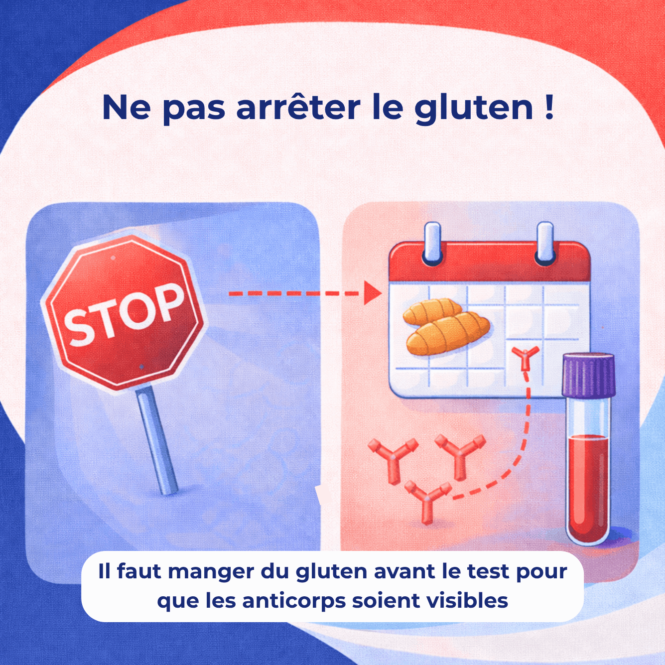 Infographie expliquant qu’il ne faut pas arrêter le gluten avant un test de dépistage de la maladie cœliaque.