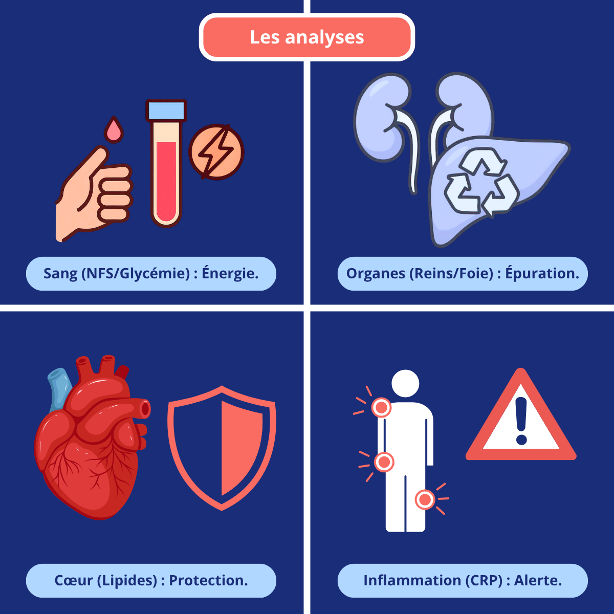 Analyses biologiques incluses dans un bilan de santé avec contrôle sanguin, cardiaque et inflammatoire