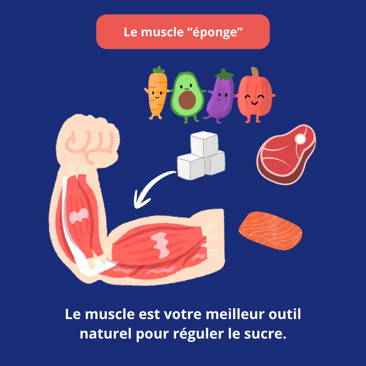 Illustration du muscle comme régulateur naturel du sucre dans la prévention du diabète