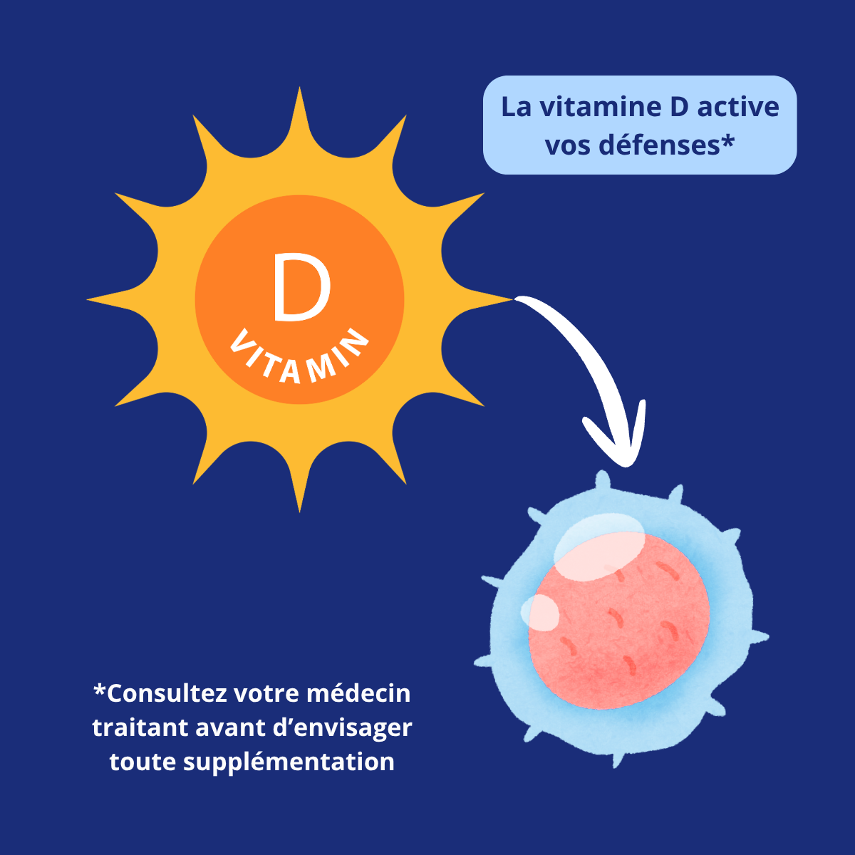 Illustration de la vitamine D et de son rôle dans le soutien du système immunitaire