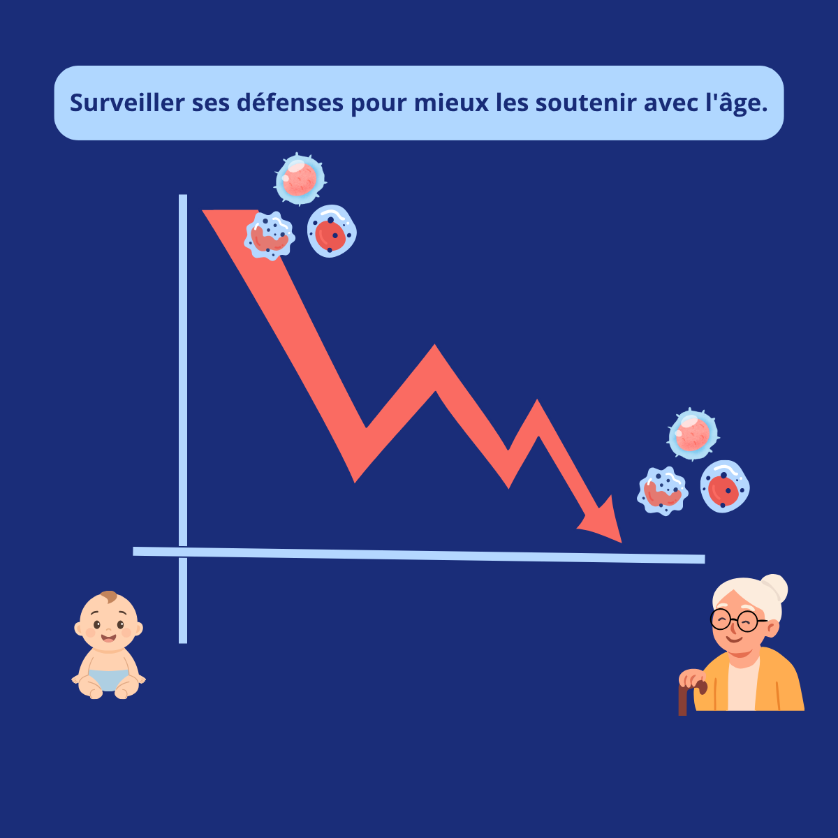 Illustration de l’évolution du système immunitaire avec l’âge et de l’immunosénescence