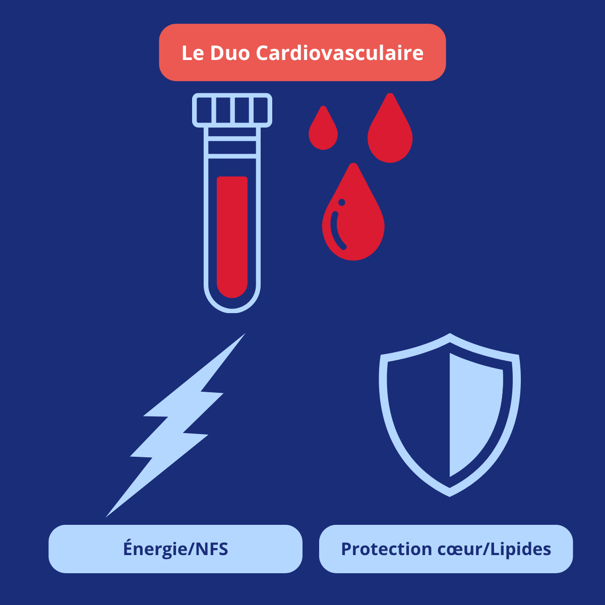 Illustration d’analyses sanguines et lipidiques pour la prévention cardiovasculaire chez les seniors