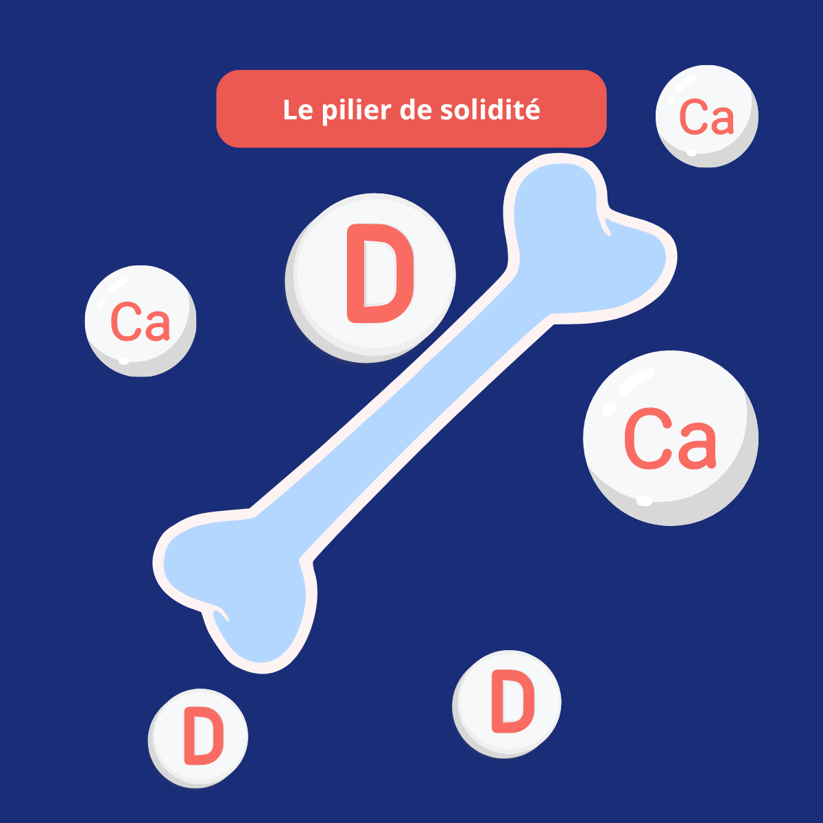 Illustration de l’équilibre osseux avec le calcium et la vitamine D dans le cadre du bilan senior