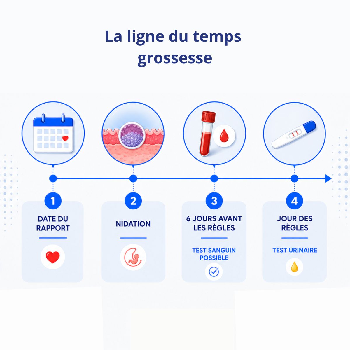 Frise chronologique indiquant le meilleur moment pour réaliser un test de grossesse sanguin ou urinaire après un rapport.